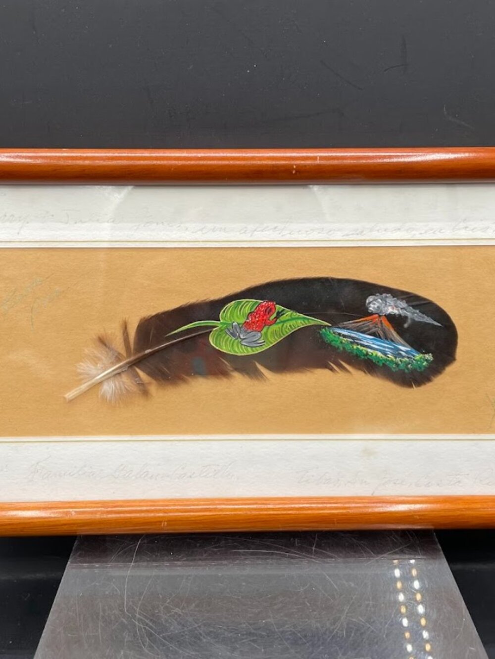Costa Rican Painted Feather Art Tree Frog and Volcano Signed Matted and Framed